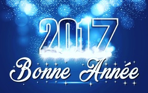 Bonne Année 2017 