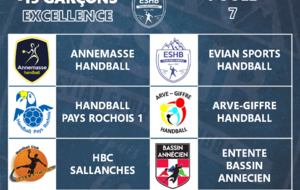 -15 garçons - Championnat régional excellence / poule 7
