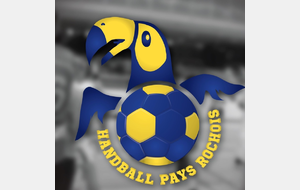 -13 FILLES (ENTENTE) vs HANDBALL PAYS-ROCHOIS 1