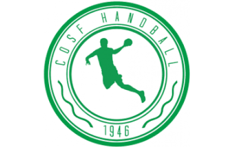 Saint Fons Handball